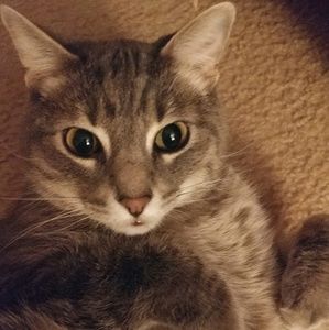 Meet your Posher, Angelica